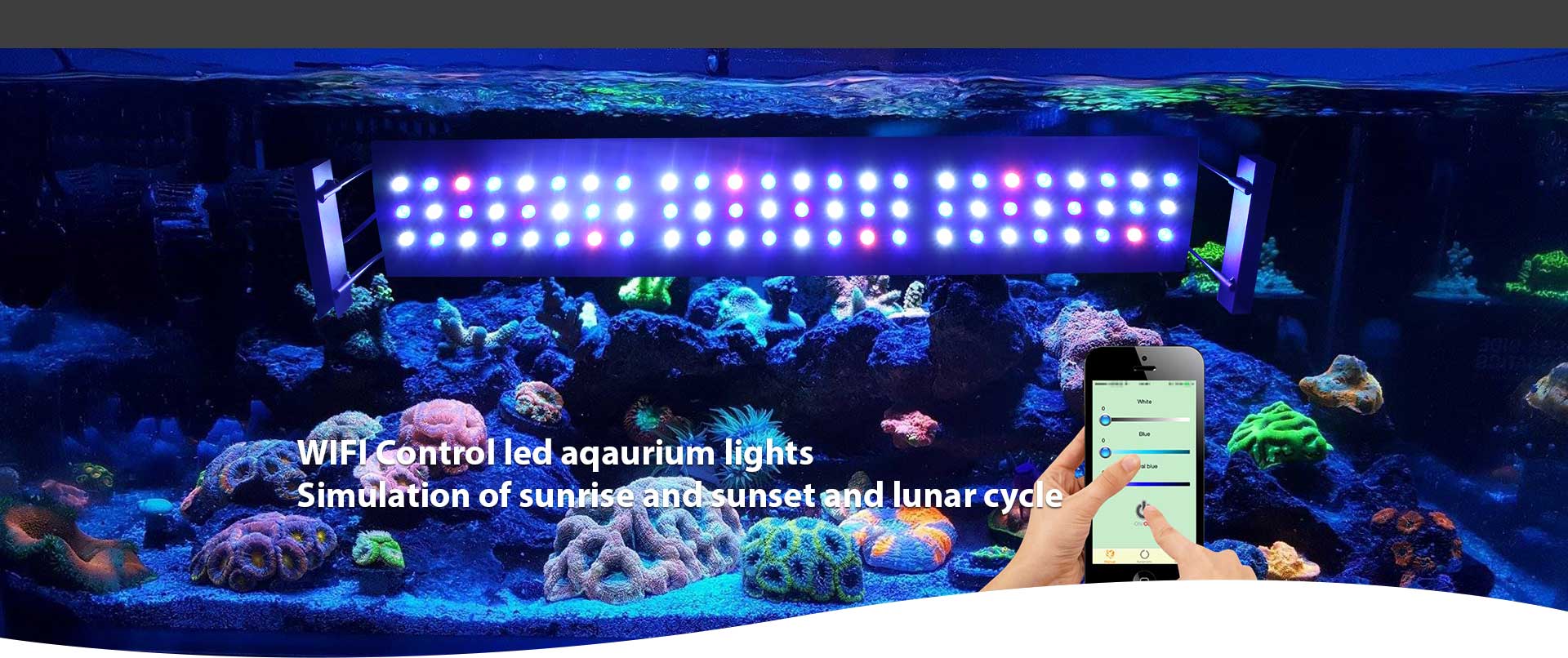 LED Aquarium Lights