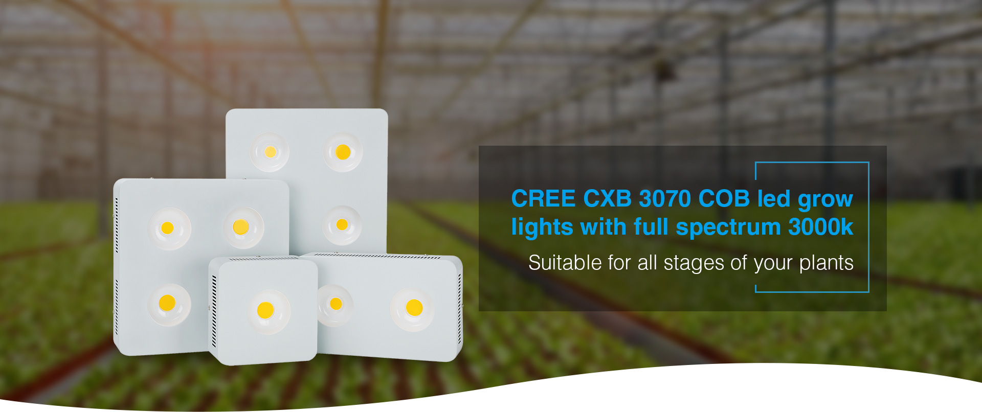 CREE CXB 3070 COB led grow light