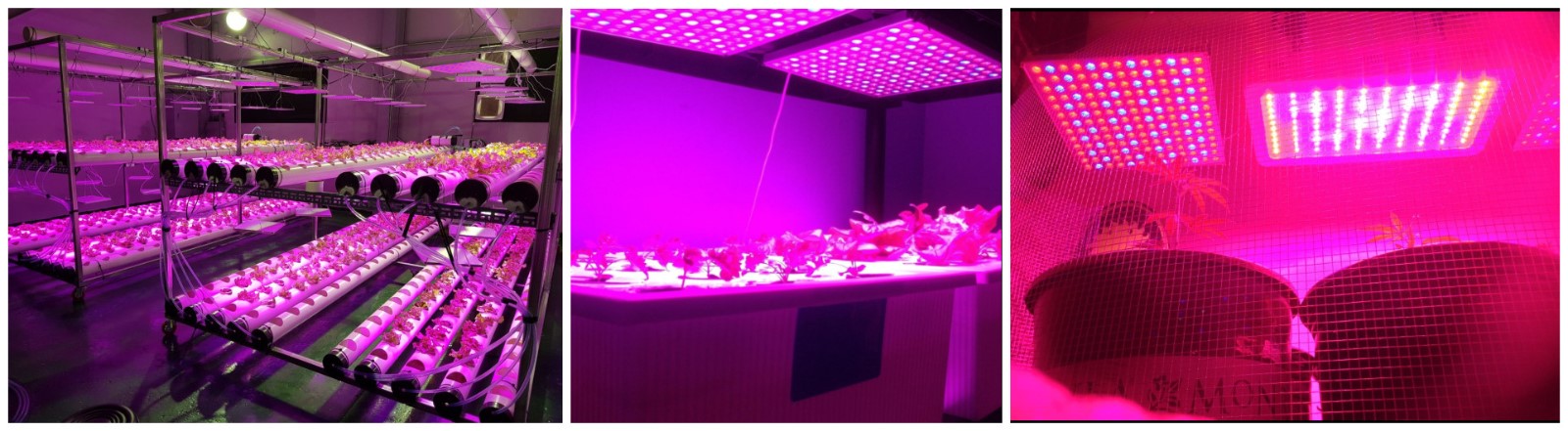 45w Panel Led Grow Lights