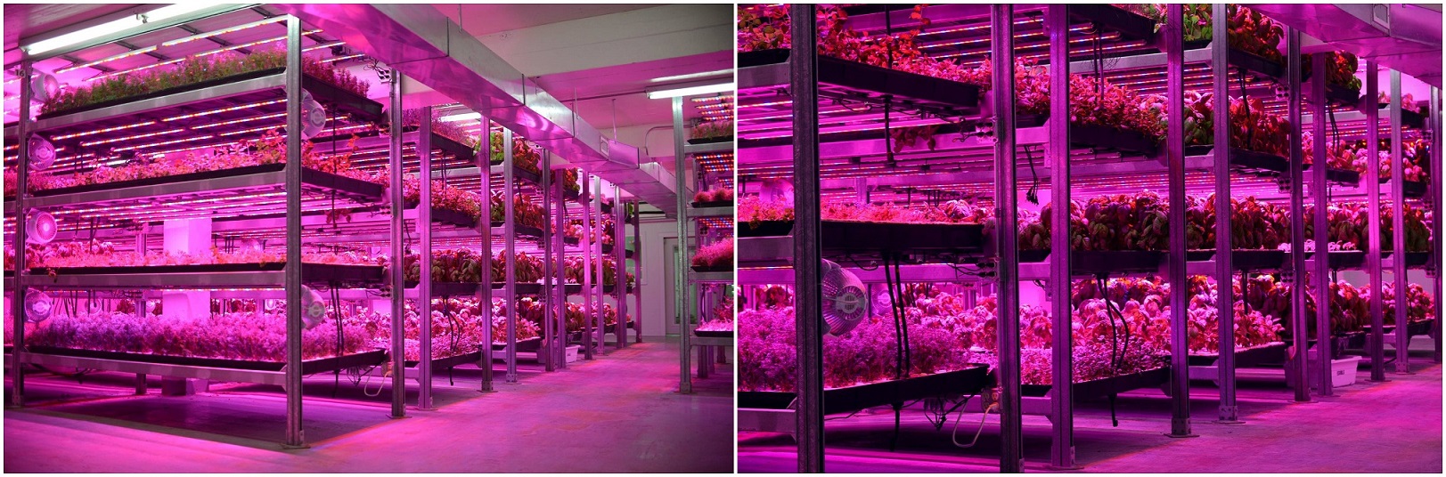 54w Led Bar grow light