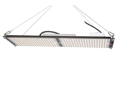 Led Grow Lights