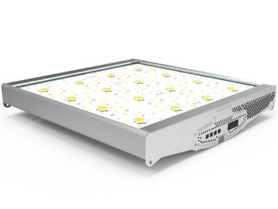 LED Grow Lights