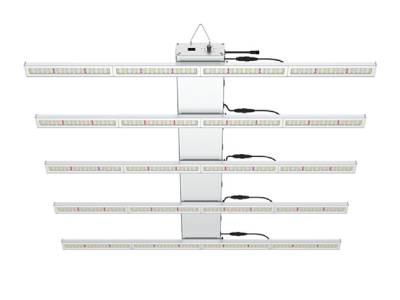 LED Grow Light