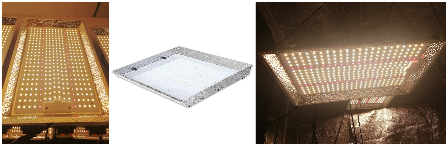 manufacturer of led grow lights for indoor plants