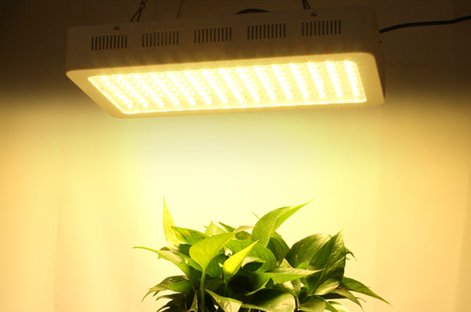 LED plant grow lights