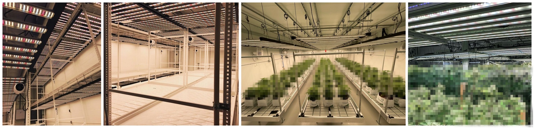 Two times flodable design Samung spyder bars led grow lights for indoor plants full spectrum