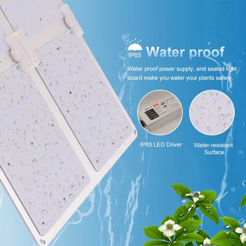 600W  LED Grow Light with LM301B Chips  Full Spectrum Sumsung