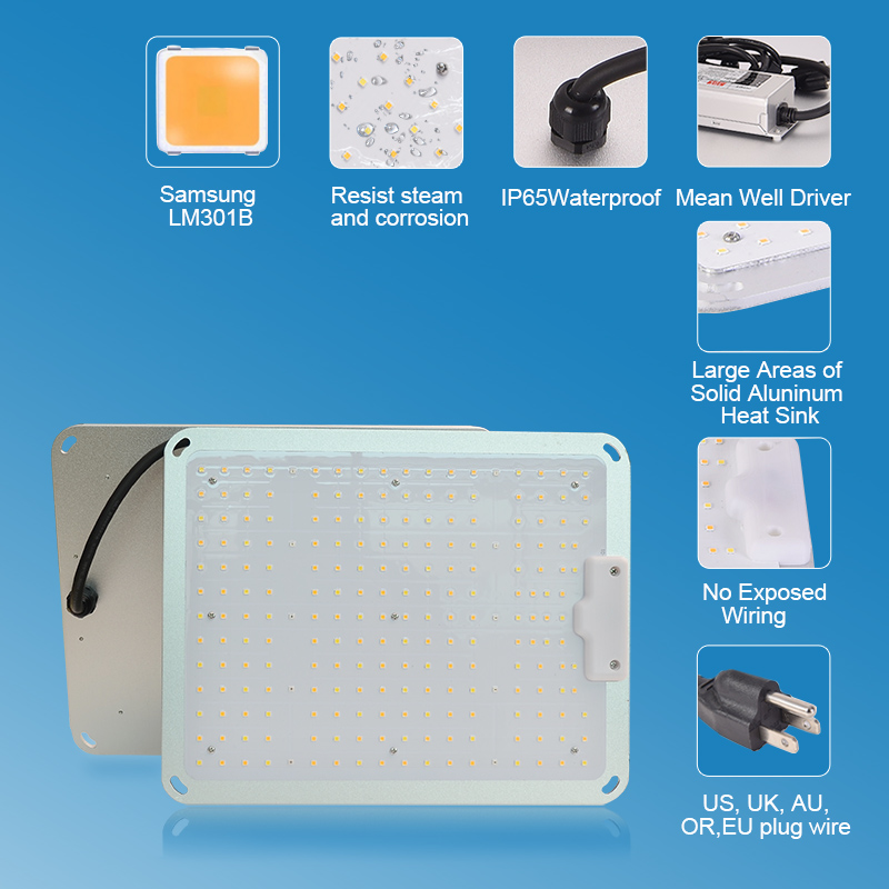 600W LED Grow Light with LM301B Chips Full Spectrum Sumsung