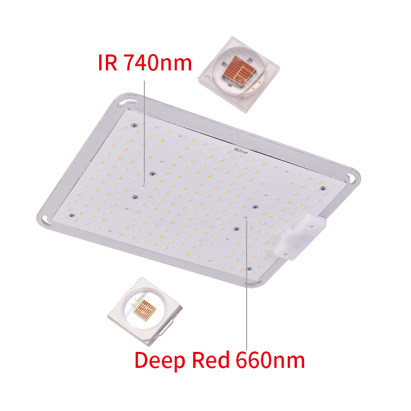 600W LED Grow Light with LM301B Chips Full Spectrum Sumsung