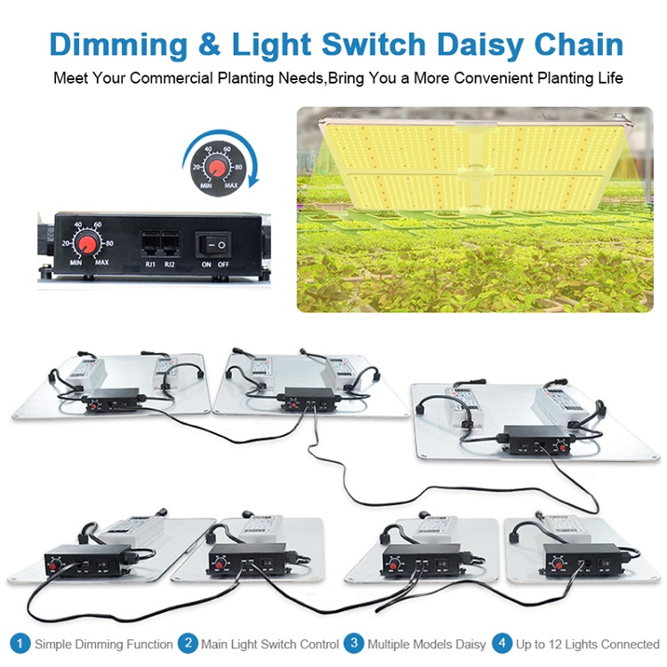 600W LED Grow Light with LM301B Chips Full Spectrum Sumsung