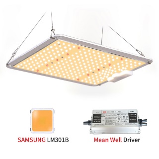 600W  LED Grow Light with LM301B Chips  Full Spectrum Sumsung