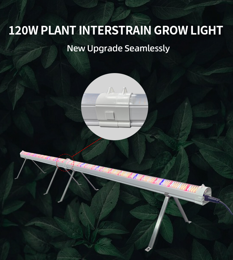 120w 100w Veg Application Under Canopy Led Grow Light Supplemental Lighting for Plants