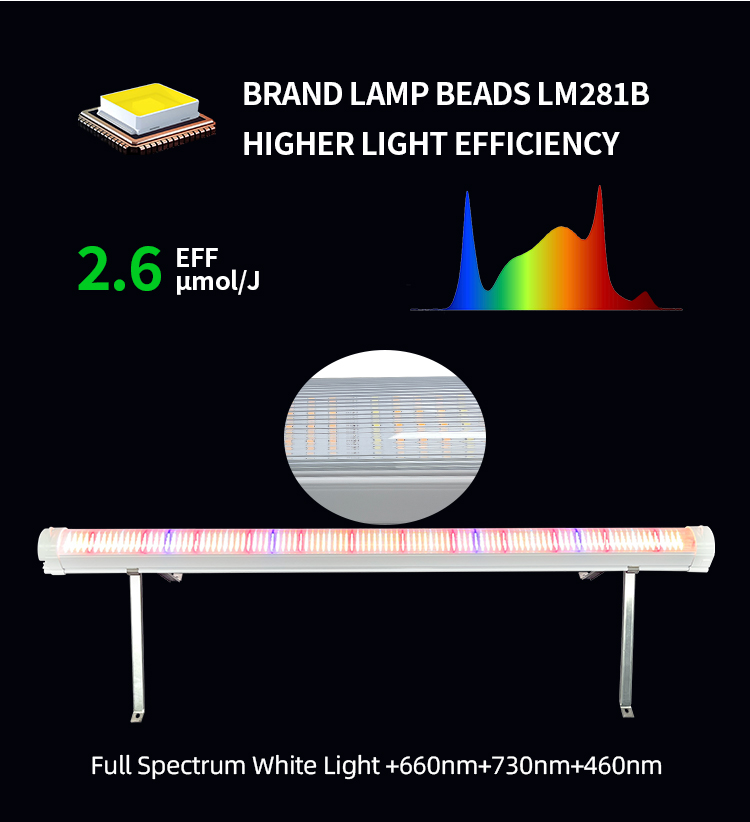 120w 100w Veg Application Under Canopy Led Grow Light Supplemental Lighting for Plants