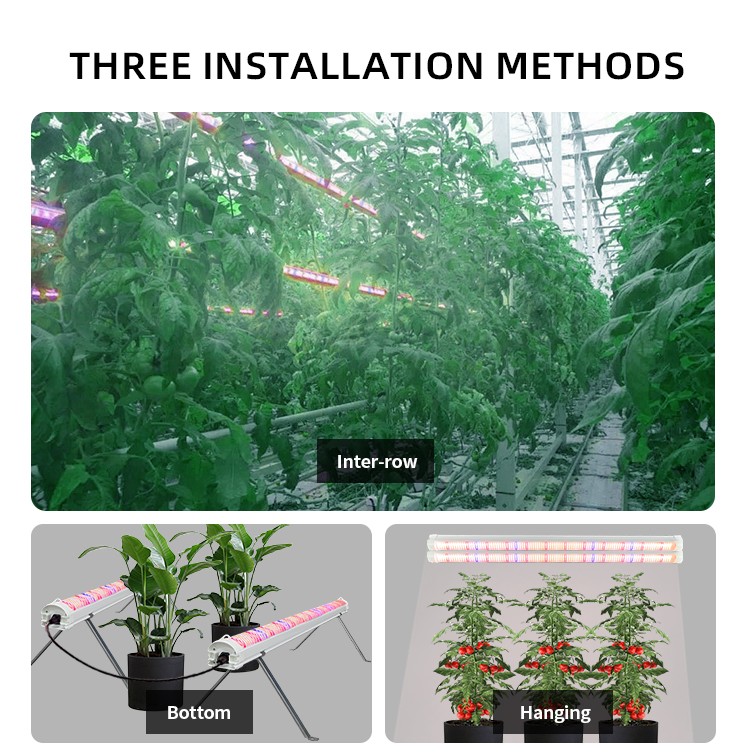 120w 100w Veg Application Under Canopy Led Grow Light Supplemental Lighting for Plants