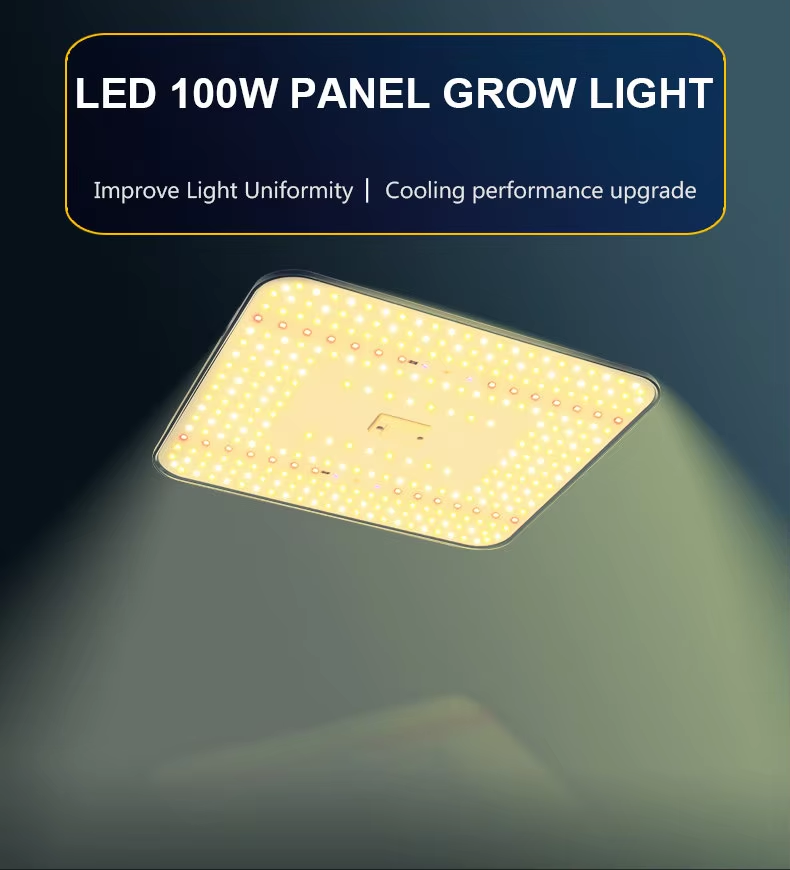 100W Full Spectrum  Plant Led Grow Lights Lm 301h 281b