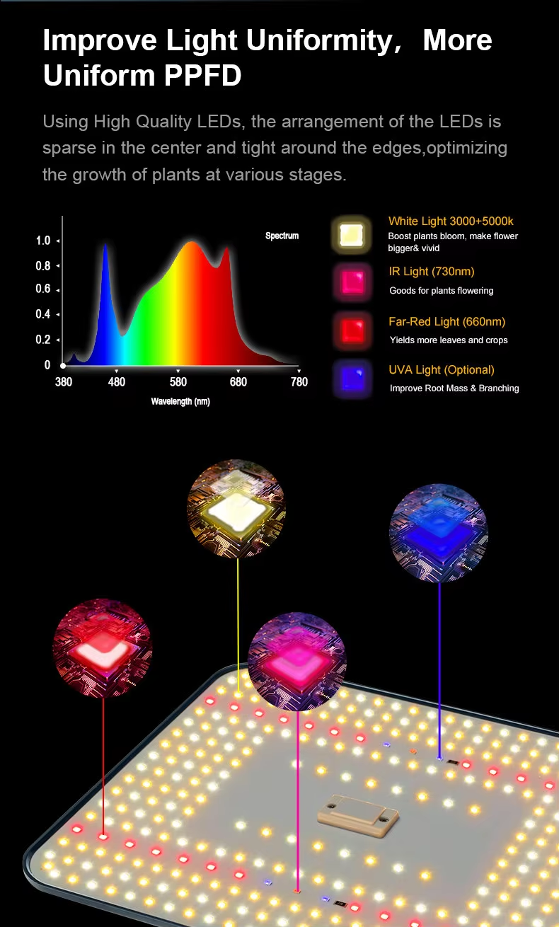 100W Full Spectrum  Plant Led Grow Lights Lm 301h 281b
