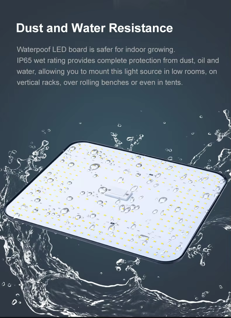 100W Full Spectrum  Plant Led Grow Lights Lm 301h 281b