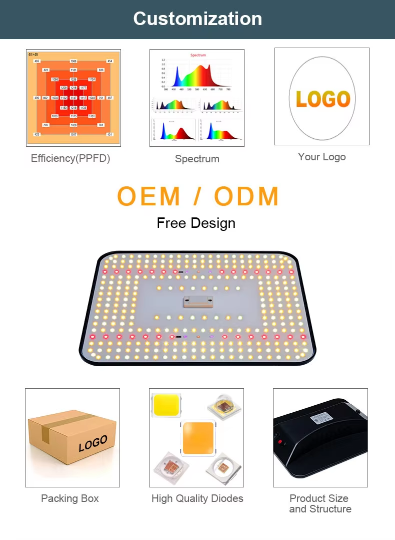 100W Full Spectrum  Plant Led Grow Lights Lm 301h 281b
