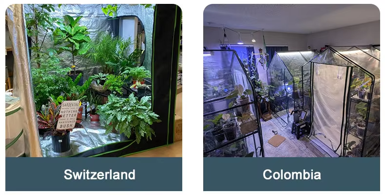 100W Full Spectrum  Plant Led Grow Lights Lm 301h 281b