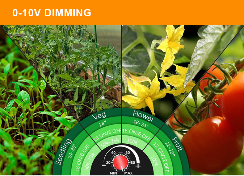 400W 600W Wider Bars Dimmable Spider Grow Light