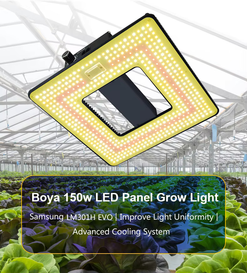 320W 420W 600W Full Spectrum LED Grow Quantum Panel Light