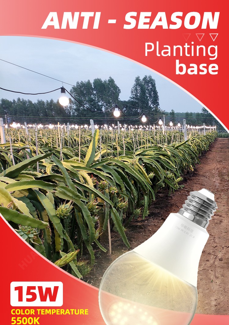 A80 15w  Planting Bulbs Full Spectrum Pitaya Grow Bloom E26 E27 Holders