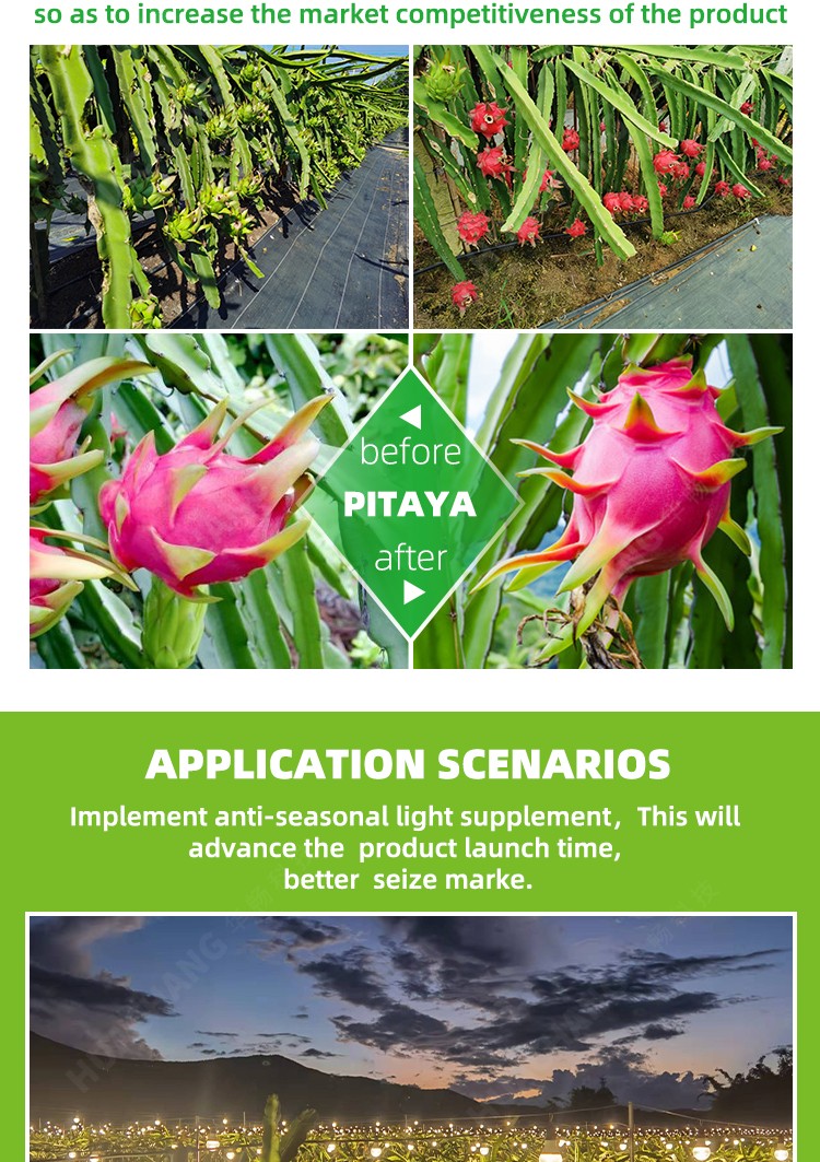 A80 15w  Planting Bulbs Full Spectrum Pitaya Grow Bloom E26 E27 Holders