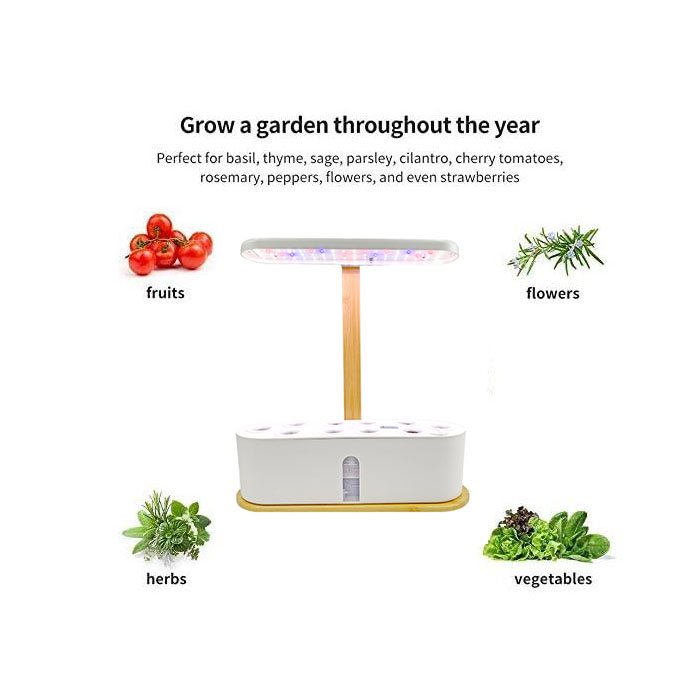 HOMEJOY Aero Smart Hydroponics Led Indoor Smart Mini Vegetable