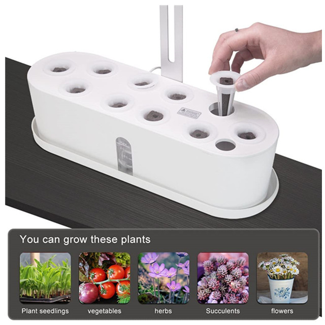 Small Home Hydroponic Garden Greenhouse Smart Veg Planter Kit with PVC Pipes Complete Hydroponics System