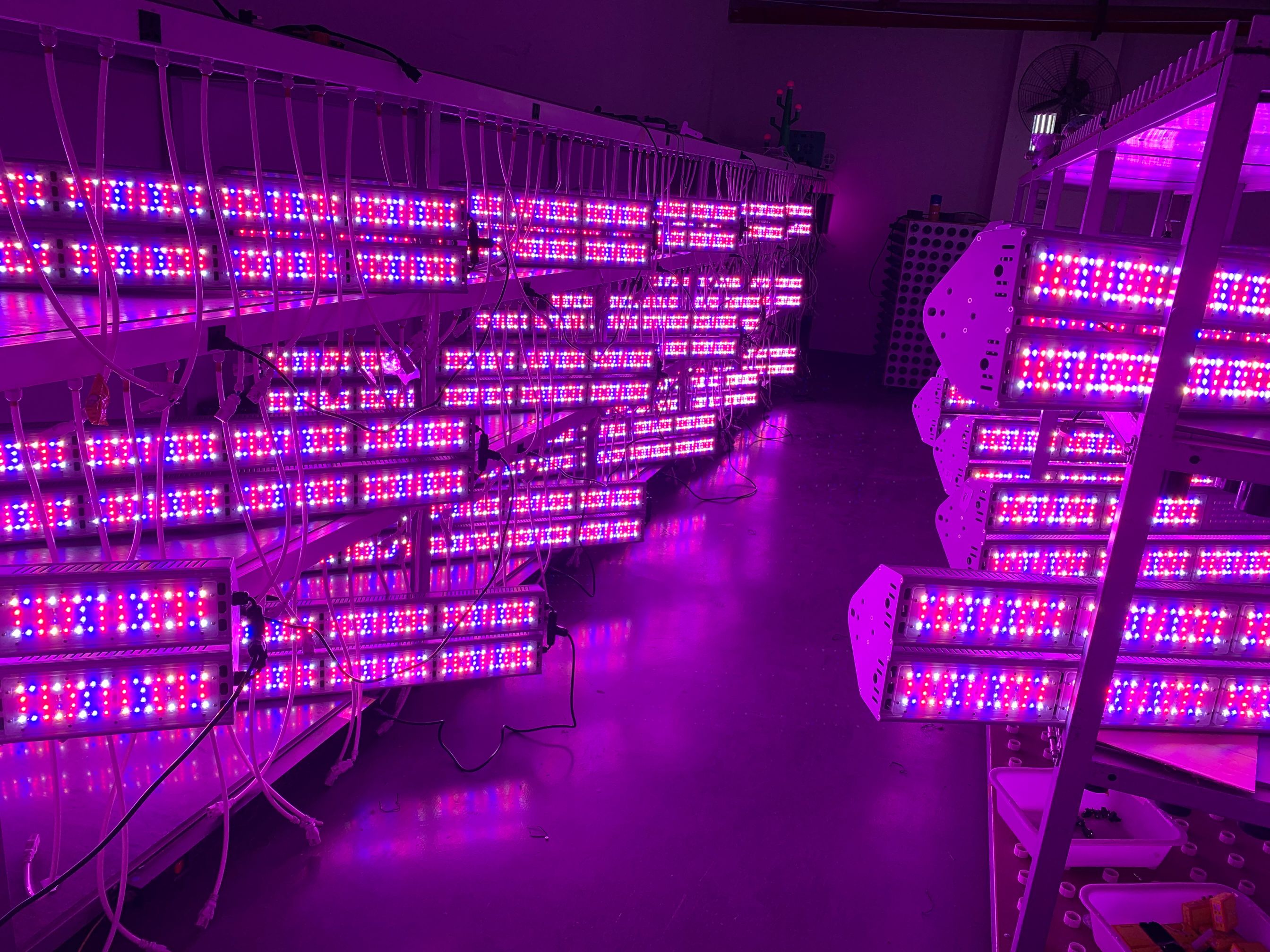 2000w led grow lights with full spectrum