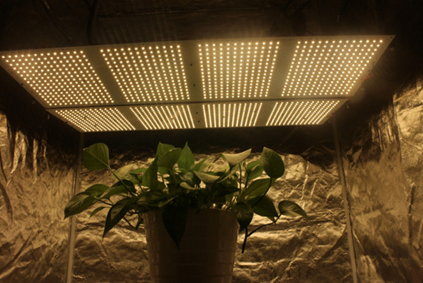 samsung panel led grow lights with full spectrum