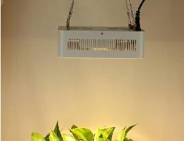 What Are The Benefits of Using Plant Growth Lights in Greenhouses?