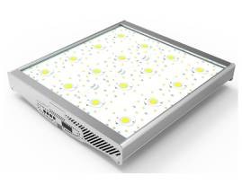 Features And Advantages of LED Plant Lights