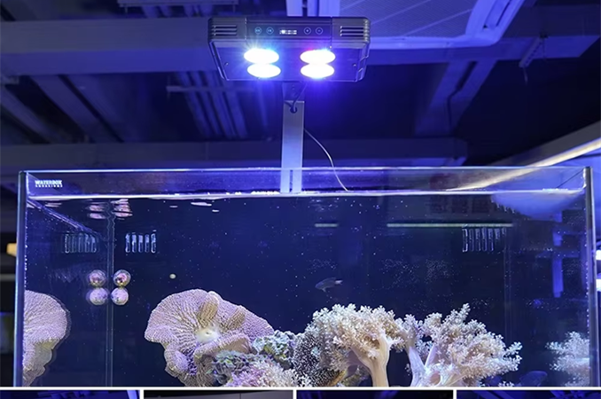 30W 52W 75W A052 RGB Full Spectrum Saltwater Light Fish tank Lamp for Marine Coral Reef Aquariums 