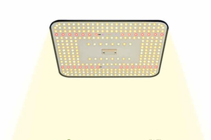100W Full Spectrum  Plant Led Grow Lights Lm 301h 281b