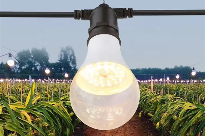 A80 15w  Full Spectrum  Grow light E26 E27 Holders