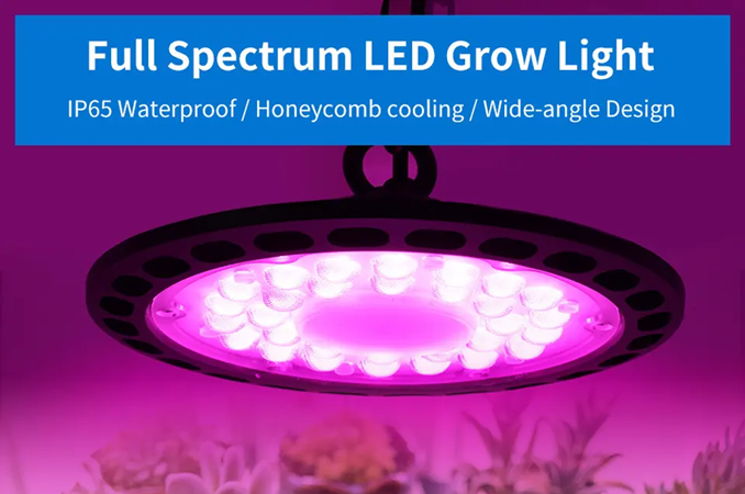 50w 100w 200w UFO mars Indoor Grow 3gp king Lighting